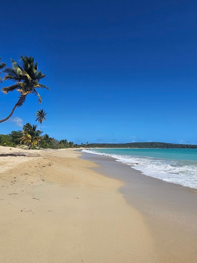 Sun Bay Beach, Vieques, Puerto Rico