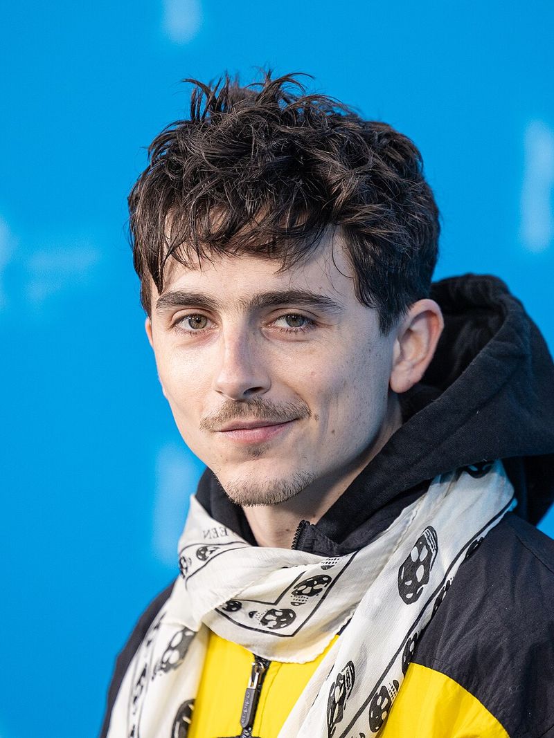 A Complete Unknown (2024)