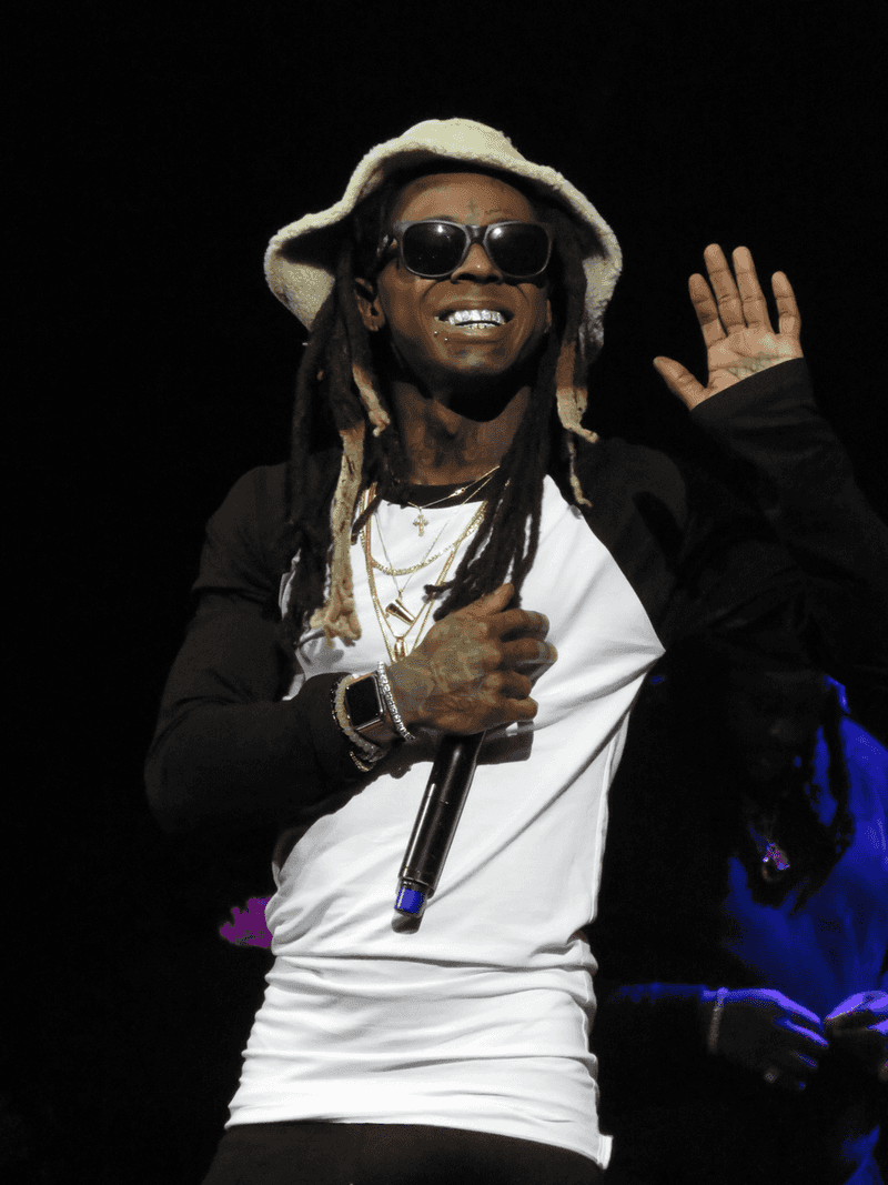 Lil Wayne and Sarah Vivan's Custody Battle