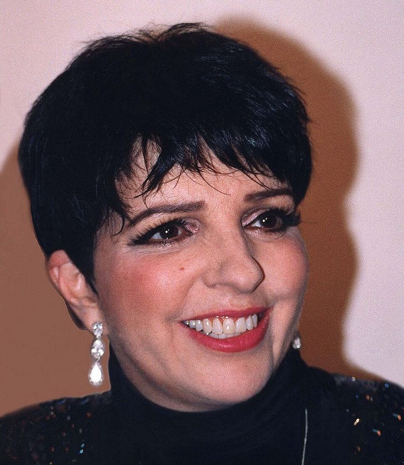 Liza Minnelli and David Gest: The Lawsuit After the Vows