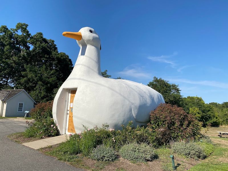 The Big Duck — Flanders, New York