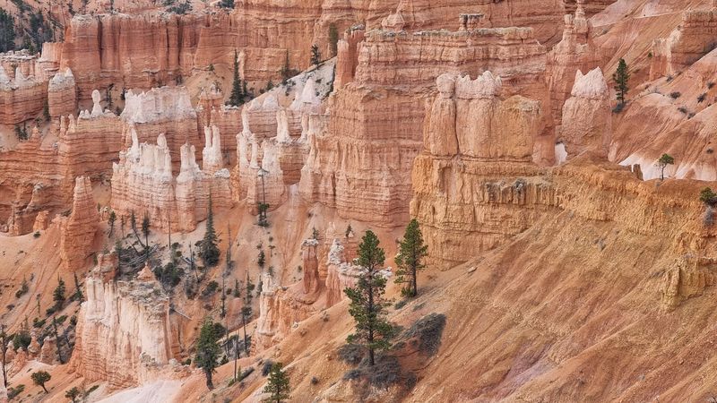 Bryce Canyon Hoodoos, Utah