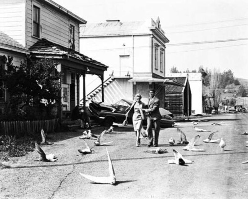 Tippi Hedren Endured Days of Real Bird Attacks
