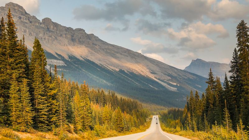 Icefields Parkway, Alberta