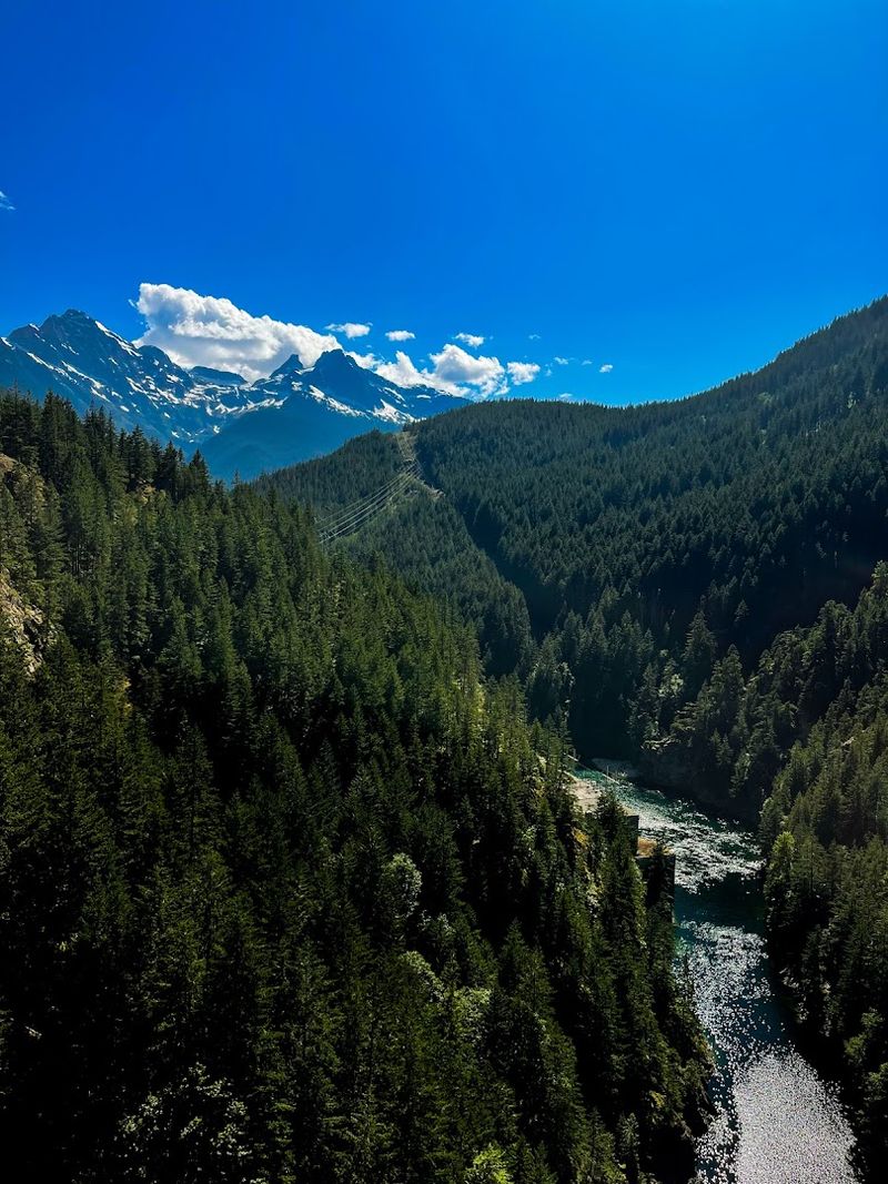 The Hidden Ecosystem Beneath The Peaks