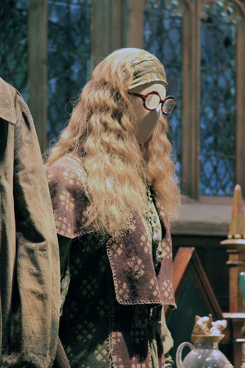Sybill Trelawney Made One Prophecy That Changed Everything