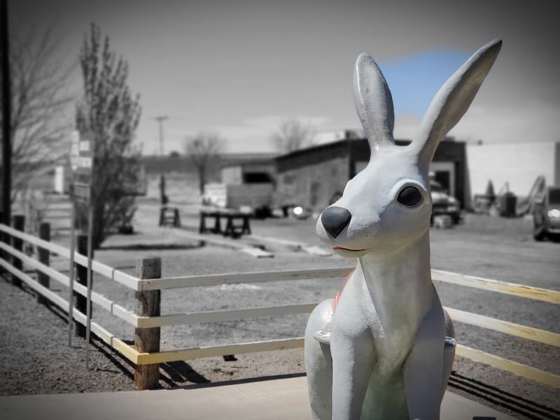Jack Rabbit Trading Post — Joseph City, Arizona
