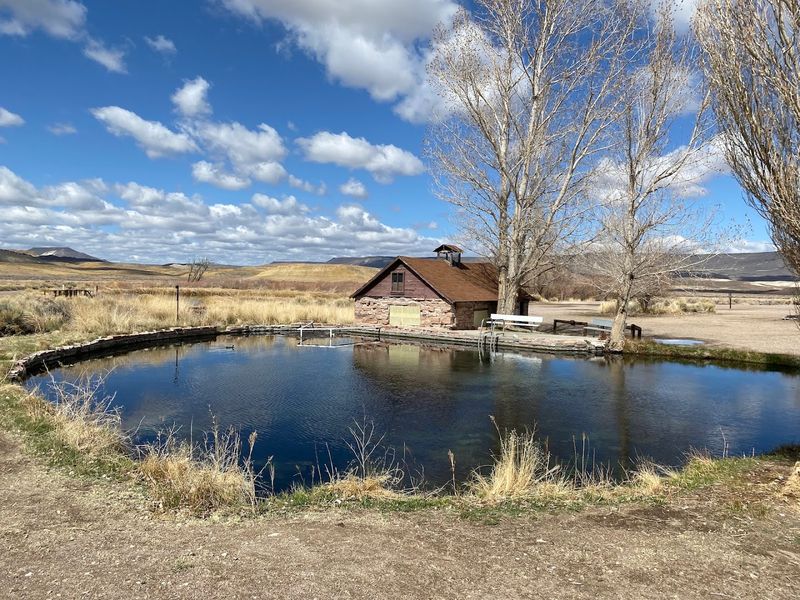 Virgin Valley Warm Springs