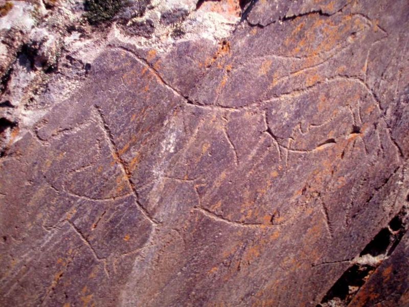Foz Coa Rock Art: Ancient Wonders Nearby