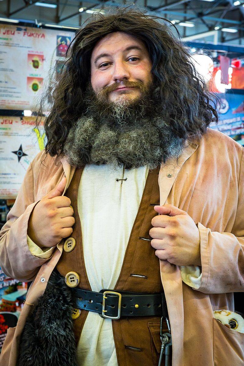 Rubeus Hagrid Was Once A Student Who Got Expelled