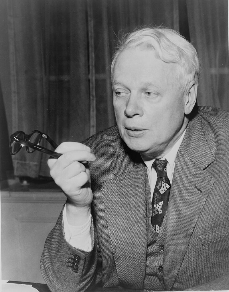 The Black Rose by Thomas B. Costain