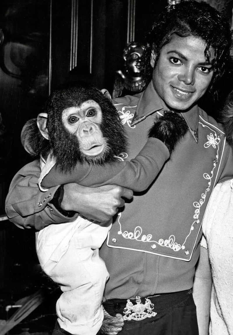 Michael Jackson's Chimpanzee, Bubbles