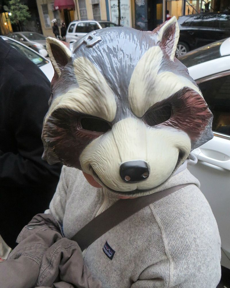 Rocket Raccoon