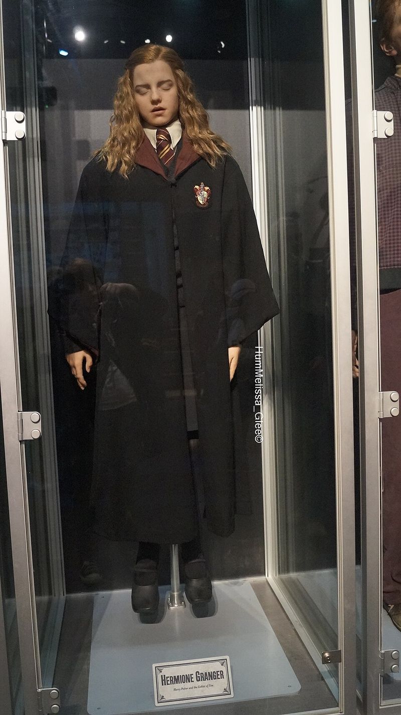 Unusual Theory: Hermione Was Really A Ravenclaw At Heart