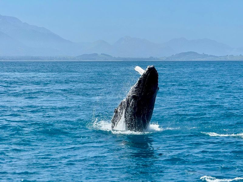 Kaikōura, New Zealand
