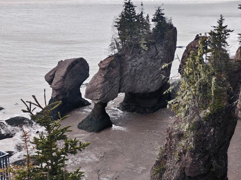 Fundy Coastal Drive, New Brunswick