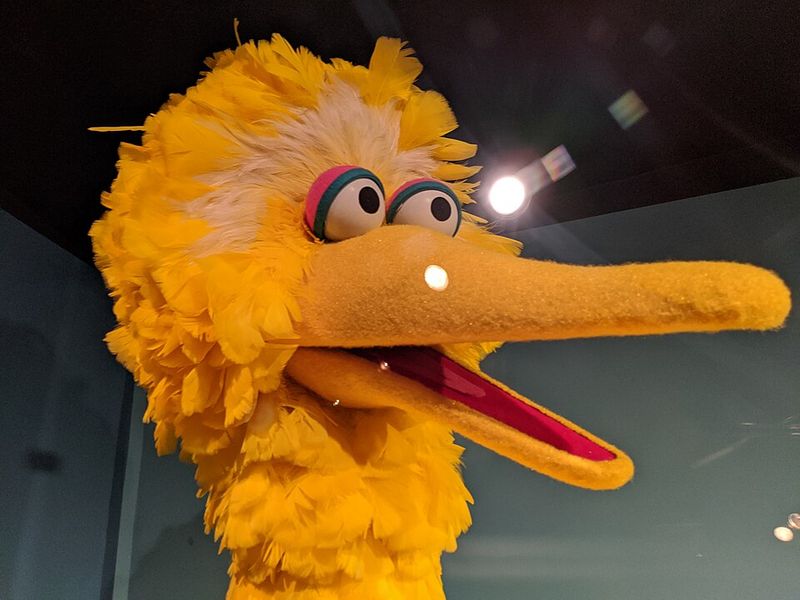 Big Bird