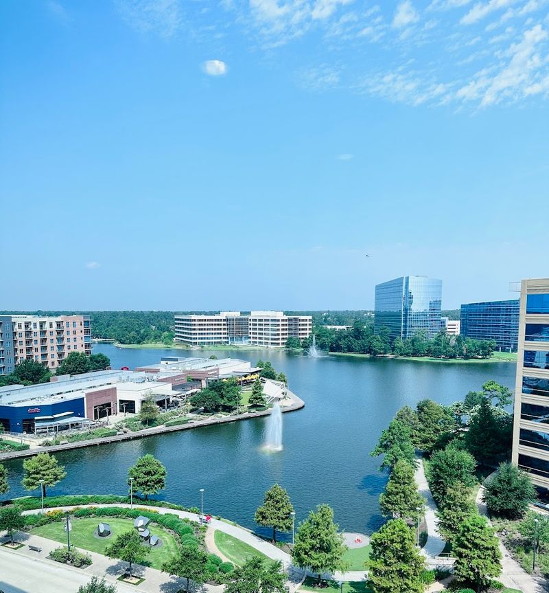 The Woodlands, Texas